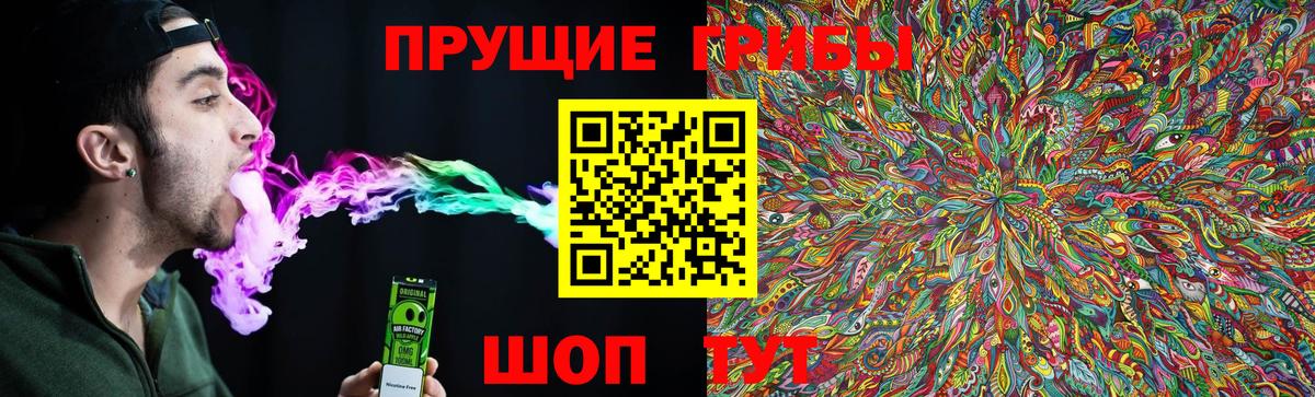 Михайловск  Псилоцибиновые грибы мицелий  Вход с VPN 