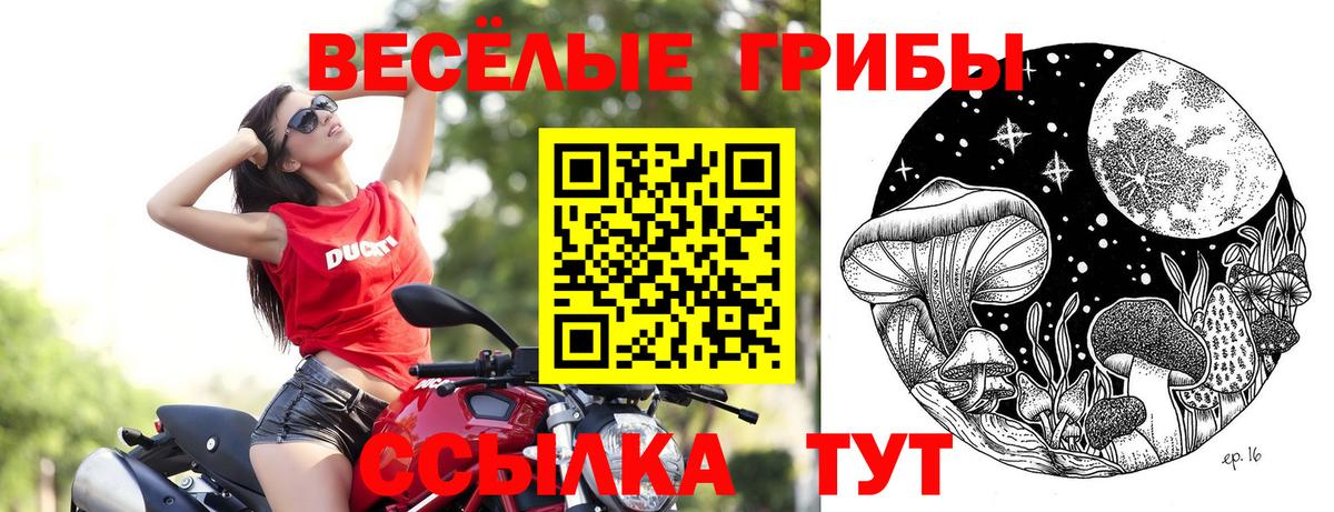 Кокаин Михайловск